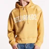 Dyed And Destroyed Cipro Hoodie